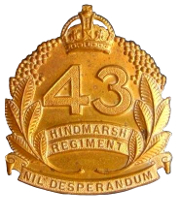 b43