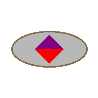 b01