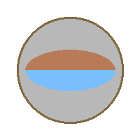 b01