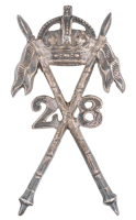 cav28