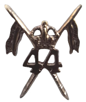 cav44