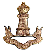The Ajmer Regiment