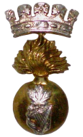 IrishFoC