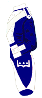 cav24a