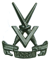 VForce