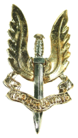 SAS