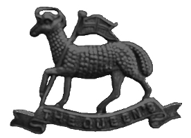 WSurrey