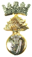 IrishF