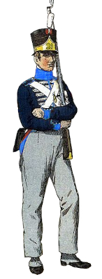Zwitsers Nr. 31