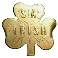 SAIrishR