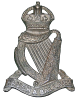 SAIrishR
