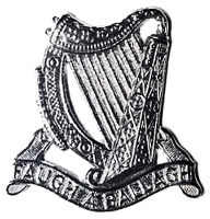 SAIrishR