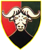 BuffaloVR